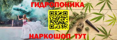 винт Тара