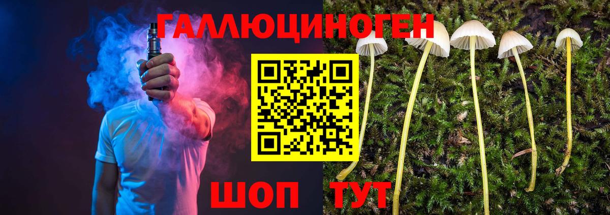 Полевской  наркота  Галлюциногенные грибы Psilocybine cubensis  Вход с VPN  Псилоцибиновые грибы прущие грибы 